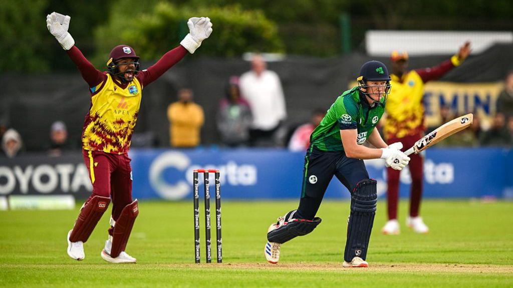 Ireland batter Harry Tector is bowled leg before wicket by West Indies bowler Roston Chase