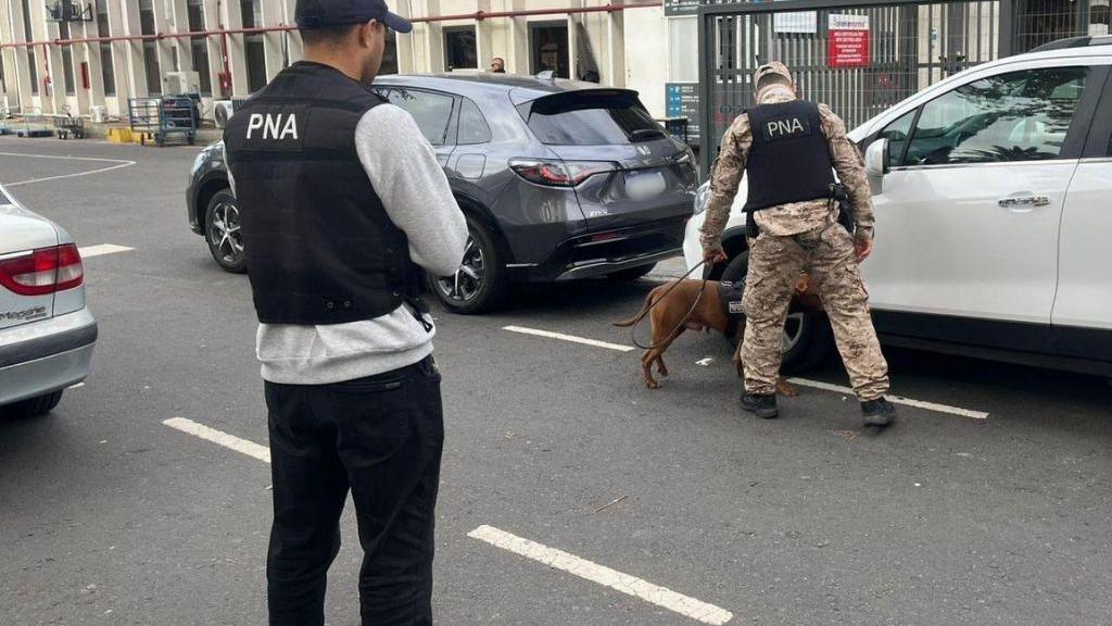 A dog sniffs at the wheels of a vehicle with a man watching on