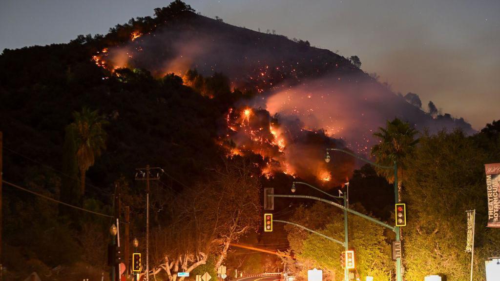 A forested hill rising above a street at night. The trees are on fire with smoke billowing into the sky.