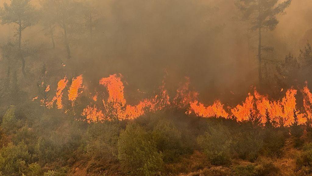 Wildfire blazes in Turkey with foliage on fire and flames above them.