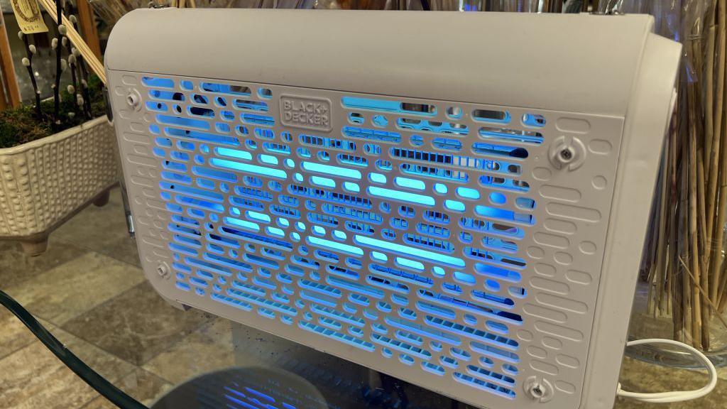 Bug Zapper Light.

