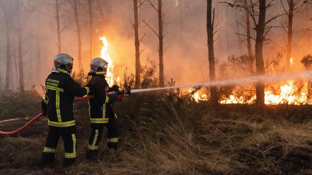 Firefighters tackle blaze in south-west France