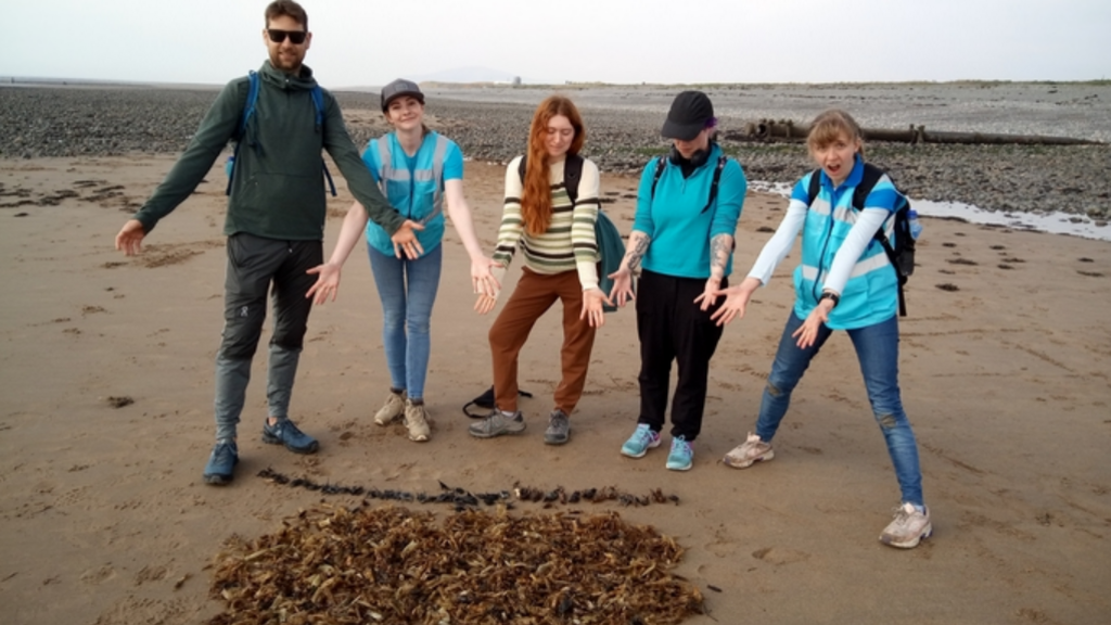 Group of people on a beach