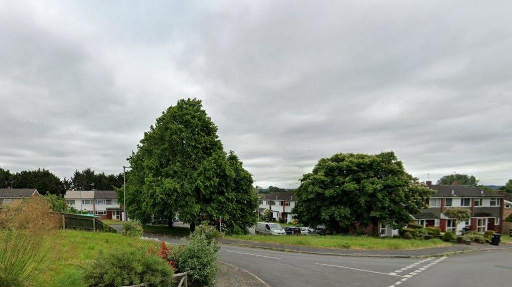 A residential area of 1960s-style terraced houses with wide grass verges and mature trees