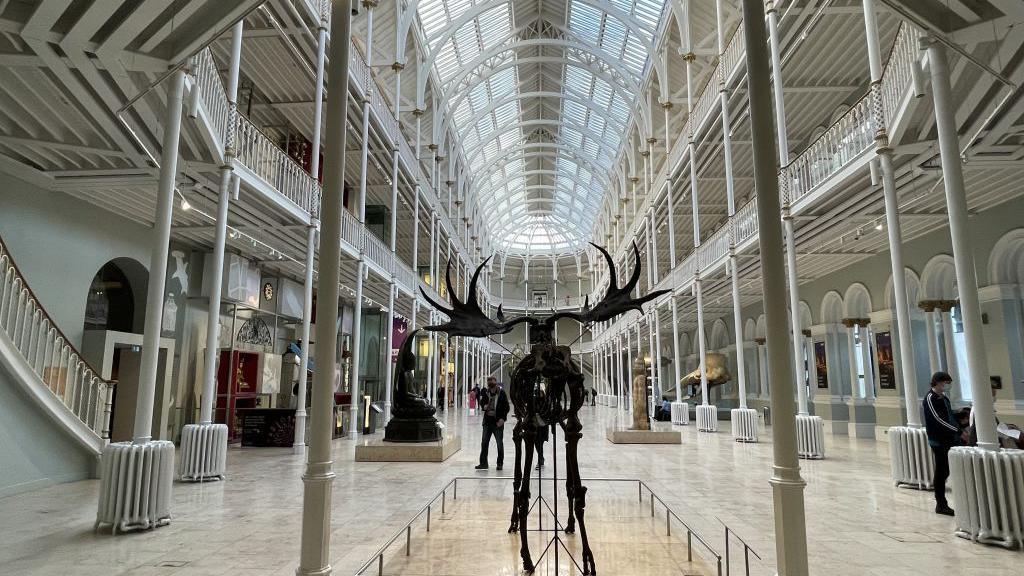 National Museum of Scotland showing an animal skeleton