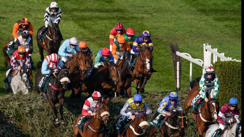 The 2023 grand national