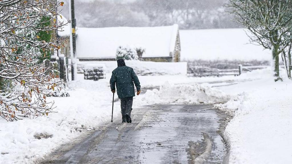Man walks on a road partially cleared of snow, with a covering of snow on trees in the foreground and a barn and fields in the background
