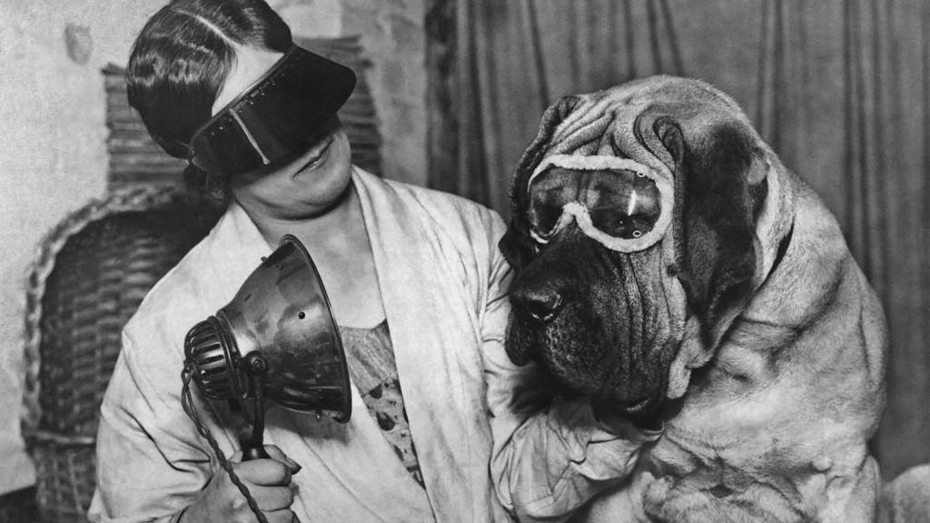 A woman is wearing a visor over her eyes while holding a sun ray device. She is wearing a white coat and has dark hair. Next to her is English mastiff Buster with white goggles over its eyes