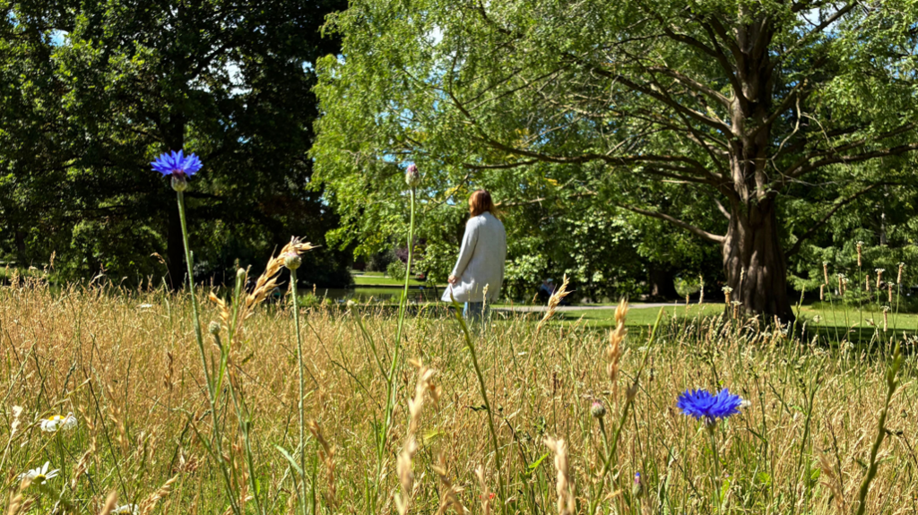 Wild flowers and long grass in the foreground with a woman who is out of focus walking in the background next to some large trees