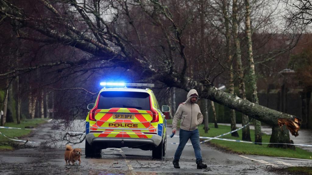 A man walks a dog past a police car and a fallen tree in Helensburgh