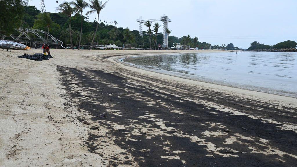 sandy beach, covered in black oil