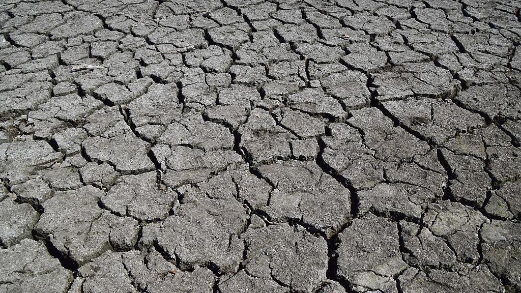A large section of a dried up pond in Wanstead Park in London.