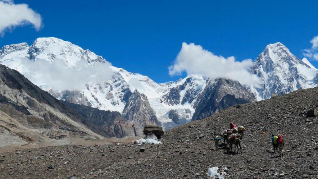 In this picture taken on August 14, 2019, porters and foreign trekkers move with mules towards the Concordia camping site in front of Broad Peak (L)
