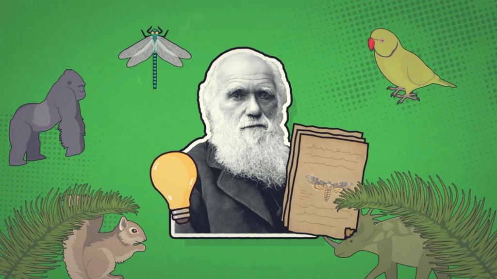 Charles darwin s theory of evolution explained bbc