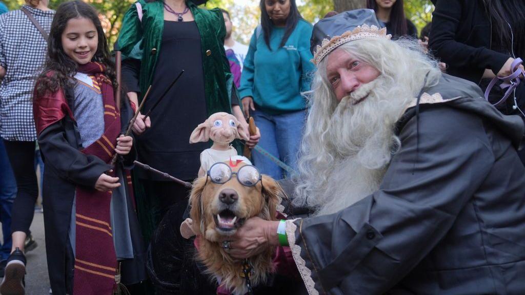 dog dressed as harry potter