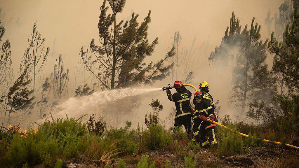 Firefighters spray water along the edge of a forest during a wildfire near the town of Lege-Cap-Ferret
