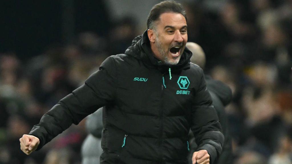 Wolverhampton Wanderers manager Vitor Pereira