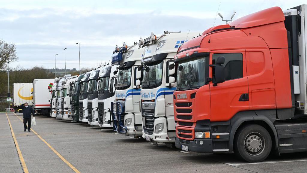 A row of different coloured lorries parked up.