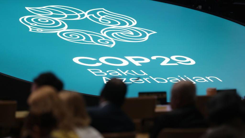 Representatives of parties attend COP29 Climate Conference on November 19, 2024 in Baku, Azerbaijan.