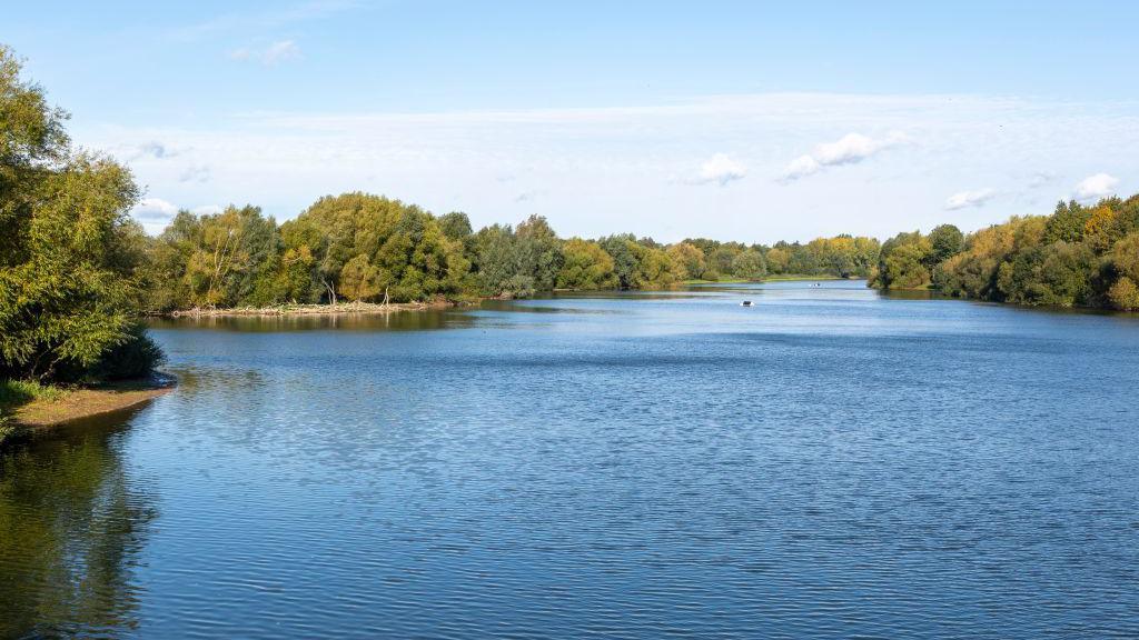 Alton Water reservoir lake in Suffolk on a sunny day. Trees and bushes surround the reservoir.