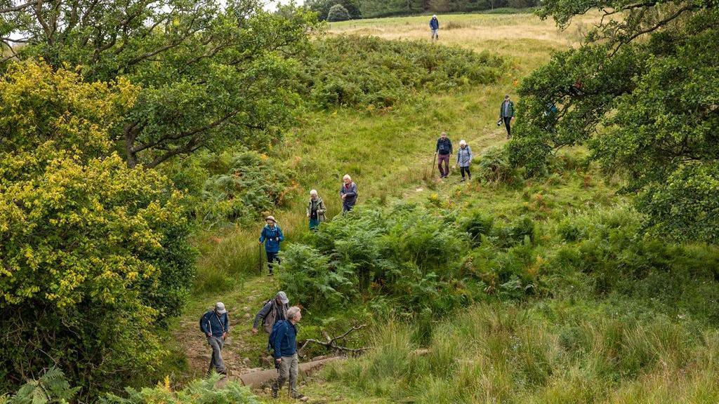 People walking down a hill in the green countryside. They are seasoned walkers of perhaps an older age and they are dressed for outdoor weather.