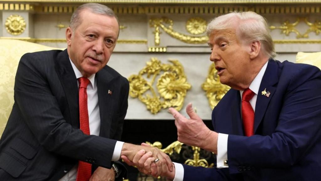 Image shows Trump and Erdogan