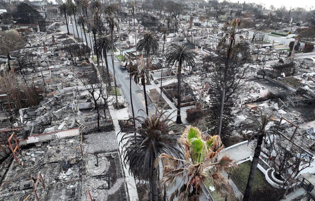 An aerial view of trees and homes which burned in the Palisades Fire on 28 January 2025 in Pacific Palisades, California. 