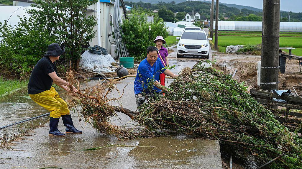 Villagers pull up branches and debris swept from the flood in Gansan-Myeon, South Chungcheong Province, South Korea, on July 17, 2025. 