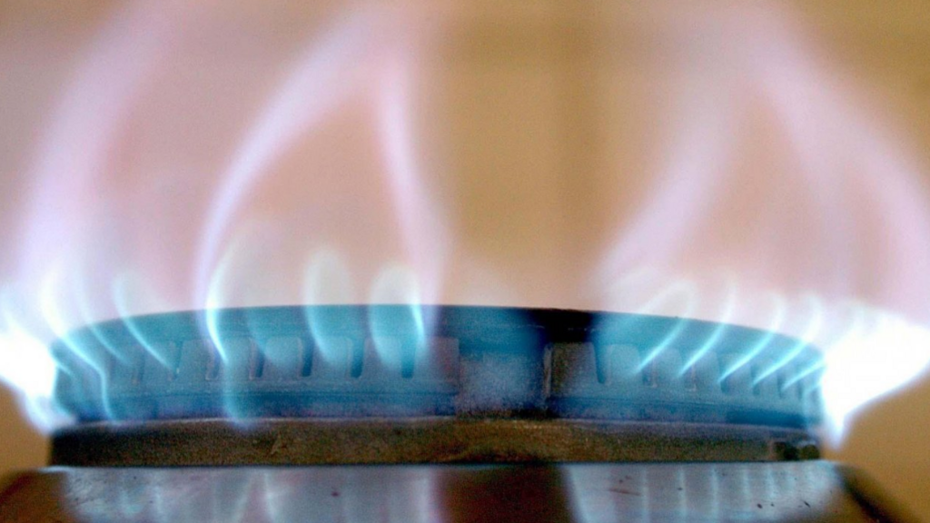 A flame from a cooker gas burner.