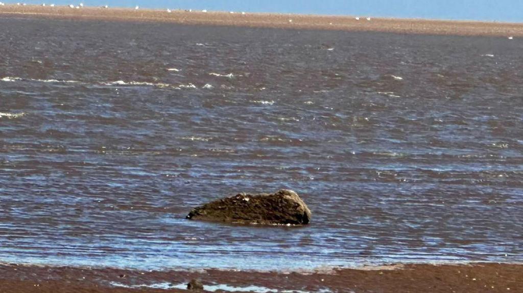A large rock in water in the sea, with the beach in the foreground.