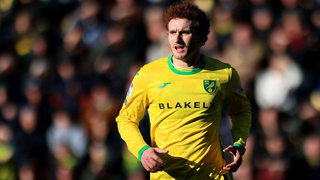 Josh Sargent in action for Norwich against Swansea.