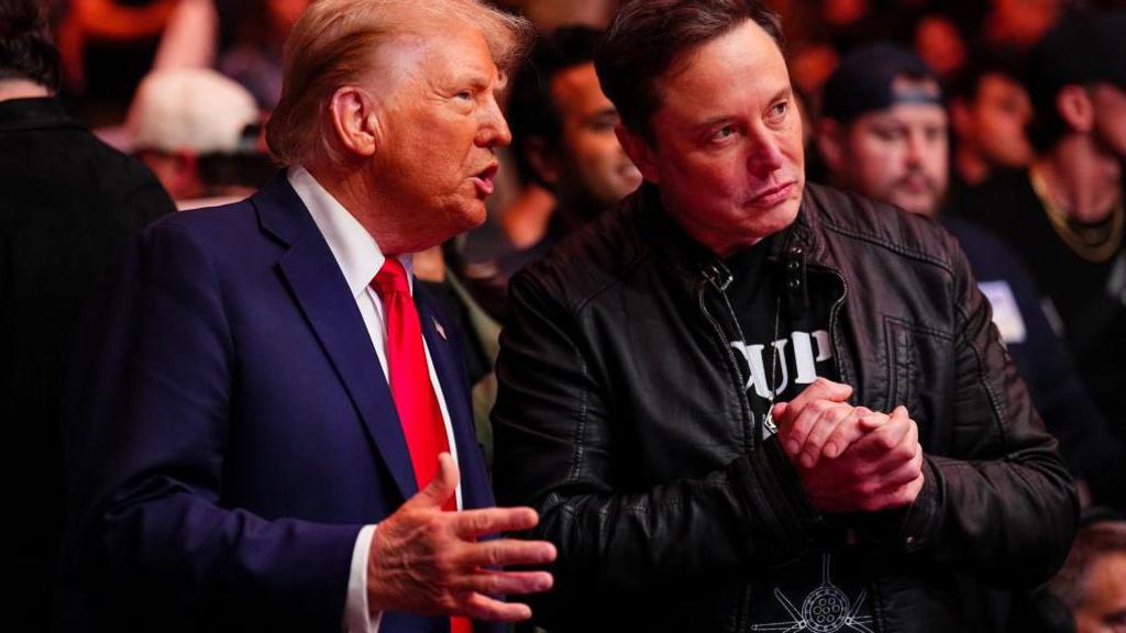 Donald Trump wearing a blue suit, white shirt and red tie talks to Elon Musk, who wears a black leather jacket. They are pictured during an Ultimate Fighting Championship (UFC) event at Madison Square Gardens in New York on 16 November 2025