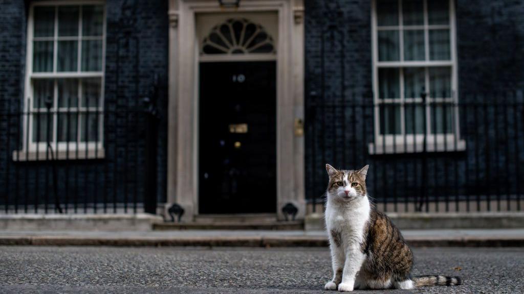 Larry outside number 10 Downing Street