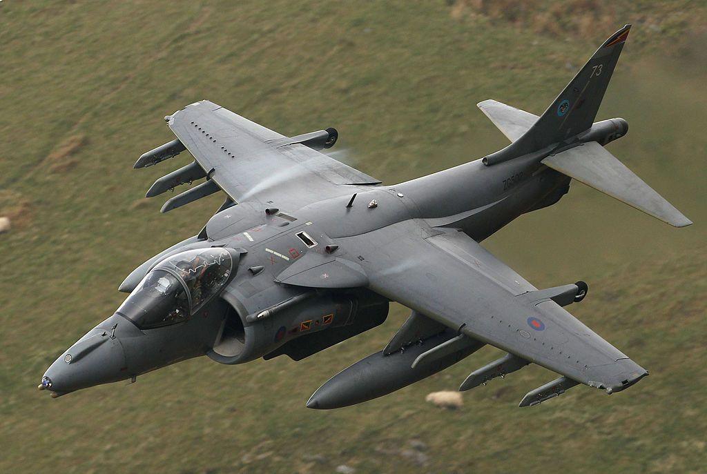 An RAF Harrier jet with deep grey and green camouflage paint flying low against a green hillside. Two sheep can be seen on the ground below.