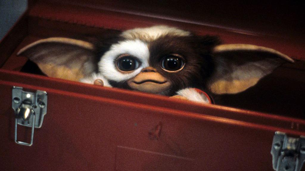 Cute little furry thingy hides in a tool box in a scene from the film 'Gremlins', 1984.