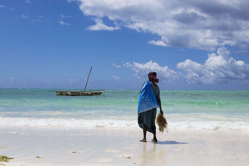 A woman stands on the beach in Zanzibar holding a bunch of seaweed in her hand. In the distance not far away there is a small sailing boat.
