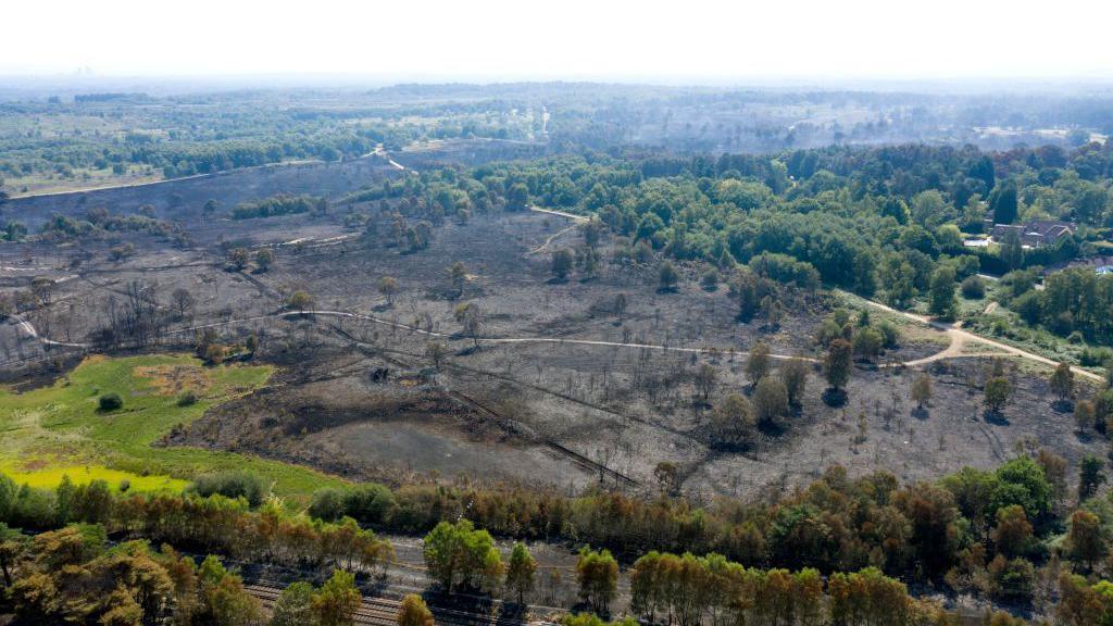 An aerial view of Chobham Common following the fire there which shows large parts of the land burned away and green trees around the edge as well as some grassland at the sides.