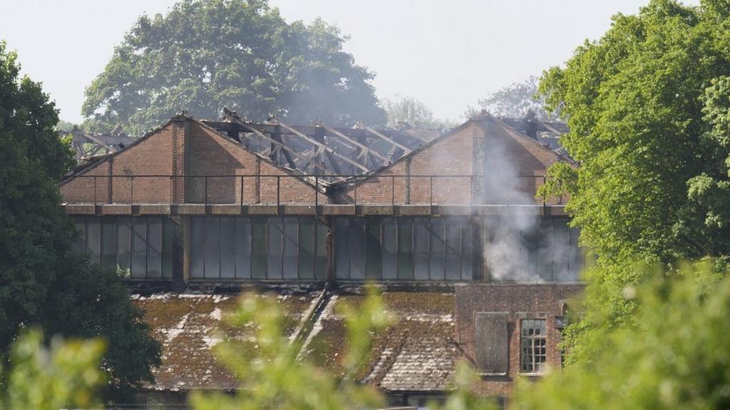 Burnt out roof of a warehouse as seen as through trees