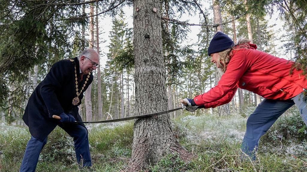 Lord Mayor of Westminster Paul Dimoldenberg is seen on the left of the tree while Oslo Mayor Anne Lindboe is on the right. Both are holding a saw and cutting the tree near it's base. 