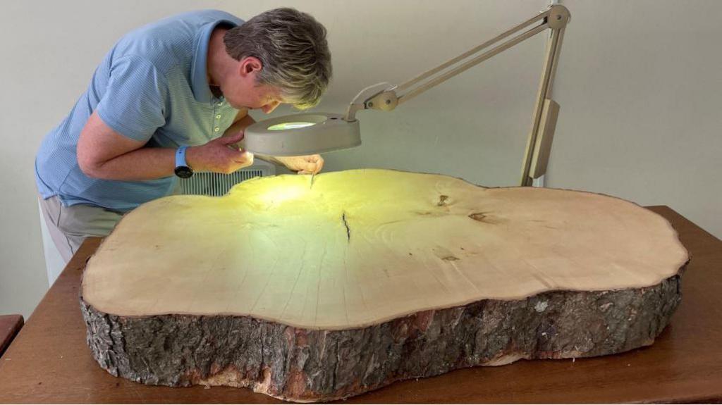 A lady looks through a large magnifying glass at a big cross-section of a tree trunk.