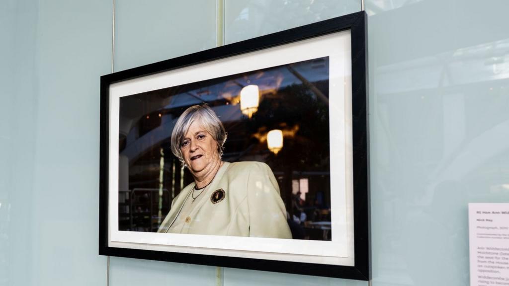 Ann Widdecombe portreti parlamentdə MP-lərin geri dönüşü üçün asılıb