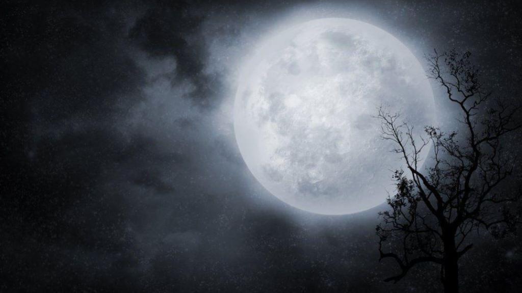 Full moon in trees with mist and fog