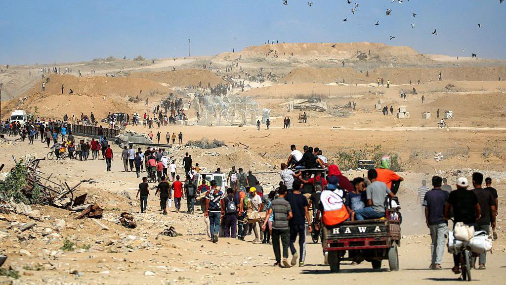 A long line of people walking through Gaza, birds fly overhead. 