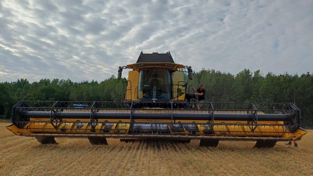 A man hangs out of the cab of a combine harvester in a wheat field