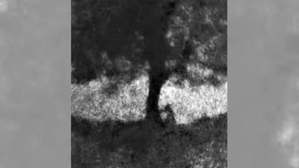 A still from a video showing the felling of the Sycamore Gap tree