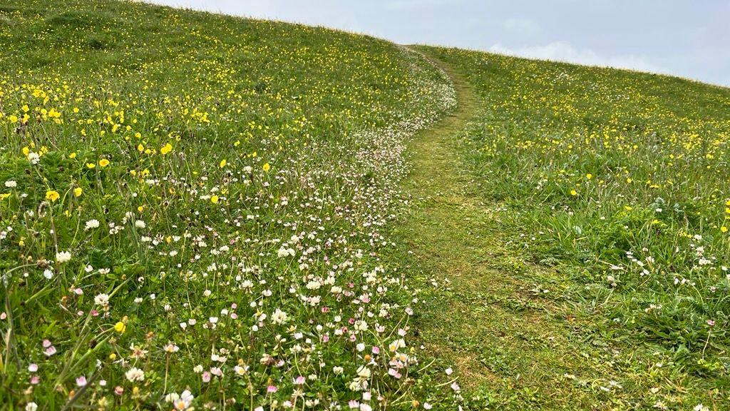 A' mhachair aig Baile Raghnaill