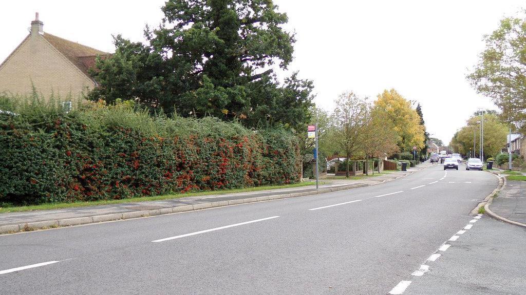 The grey tarmac of Lynn Road, Ely, with dashed lines through the centre of the road. In the background, there is the top of a house, partly hidden by a large bush, and in the distance there are cars on the road and trees on either side.