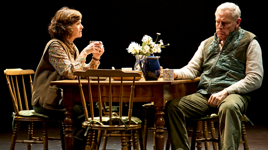 Amanda Root and Michael Simkins sitting at a table