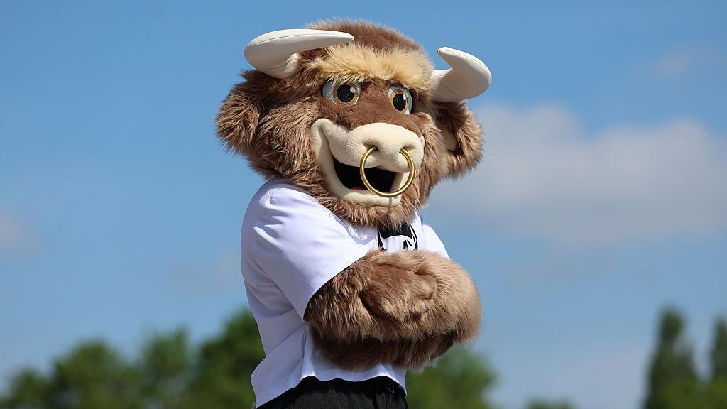 Bab the bull.