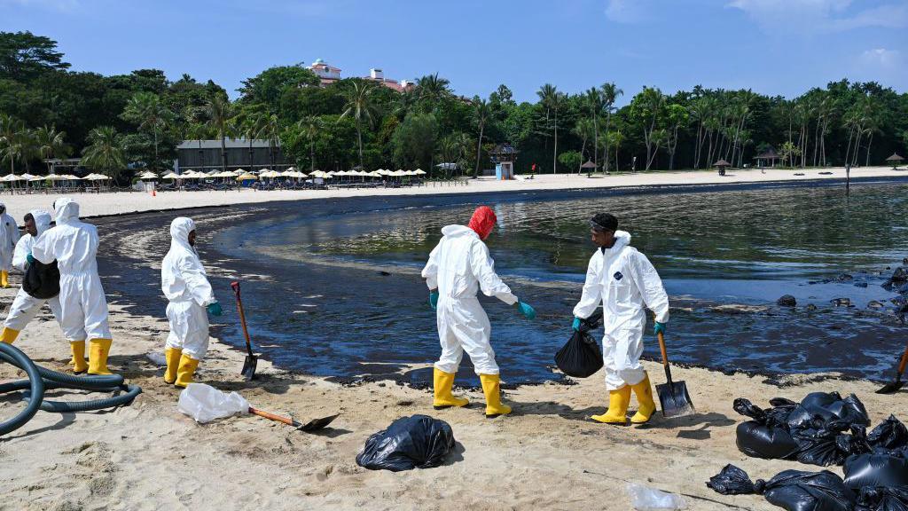 people cleaning up oily sand in protective clothing